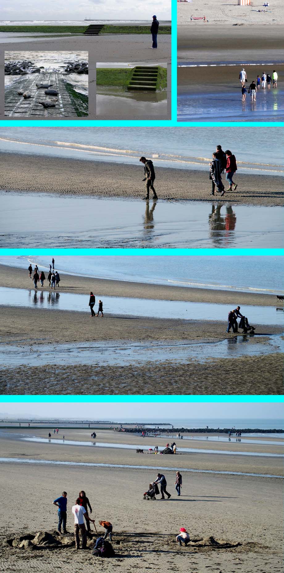 collage strand laag water